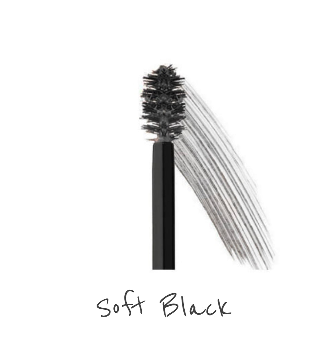 PANOPLY Tinted Brow Gel